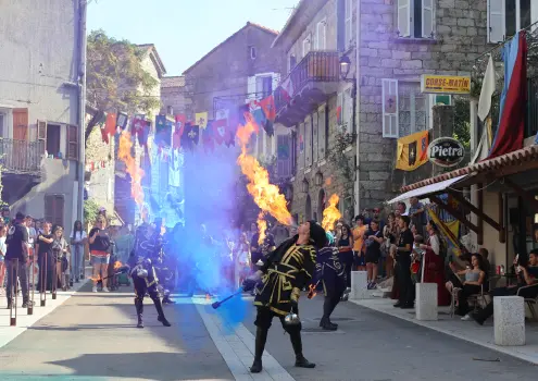 Image pour la réalisation Imaziren - spectacle de feu